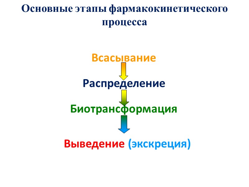 Всасывание Распределение Биотрансформация  Выведение (экскреция) Основные этапы фармакокинетического процесса